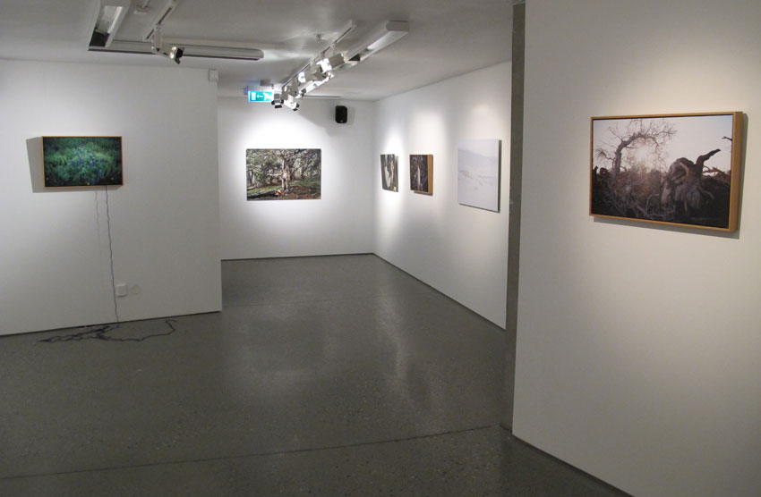 Museum of Hope