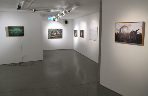 Museum of Hope