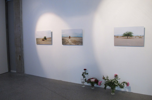 Museum of Hope