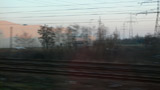 hegedonssamset_insearchofhappiness_no1