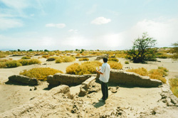 workers_desert