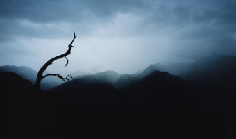 nature